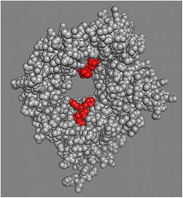 Sortilin in Glucose Homeostasis: From Accessory Protein to Key Player?